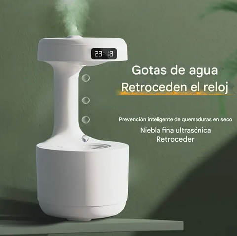 Producto