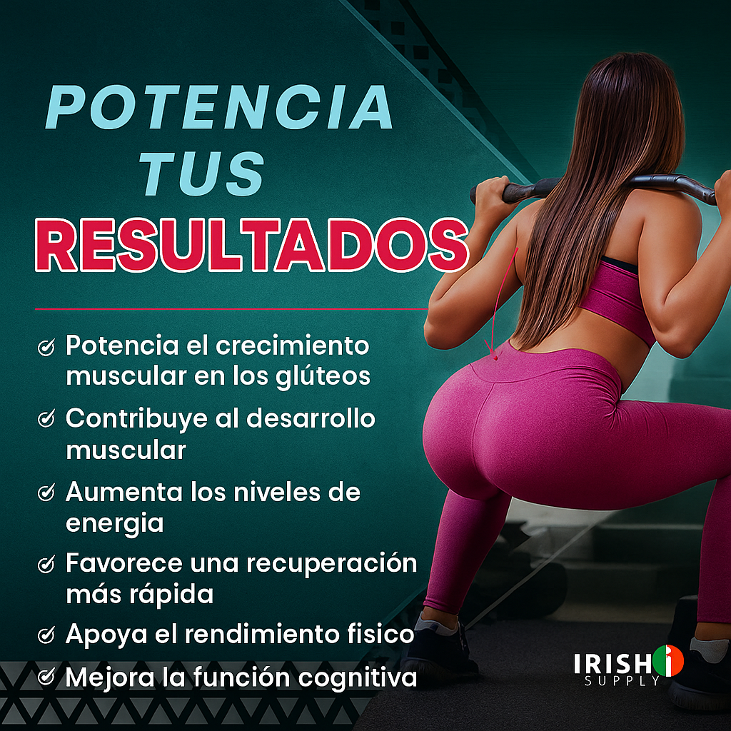 Encabezado