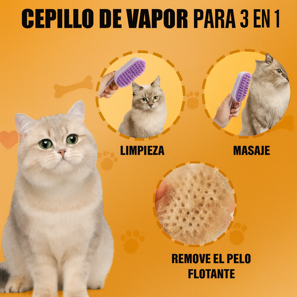 Encabezado