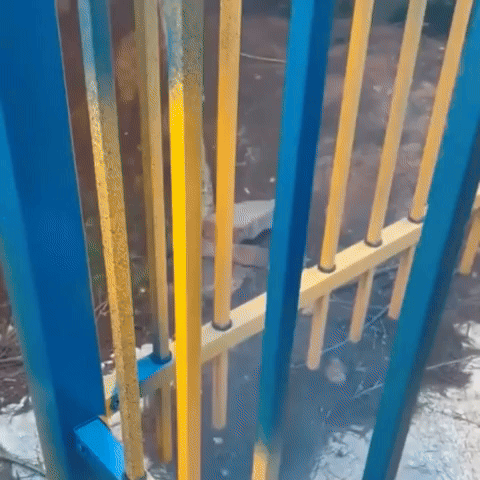 Encabezado
