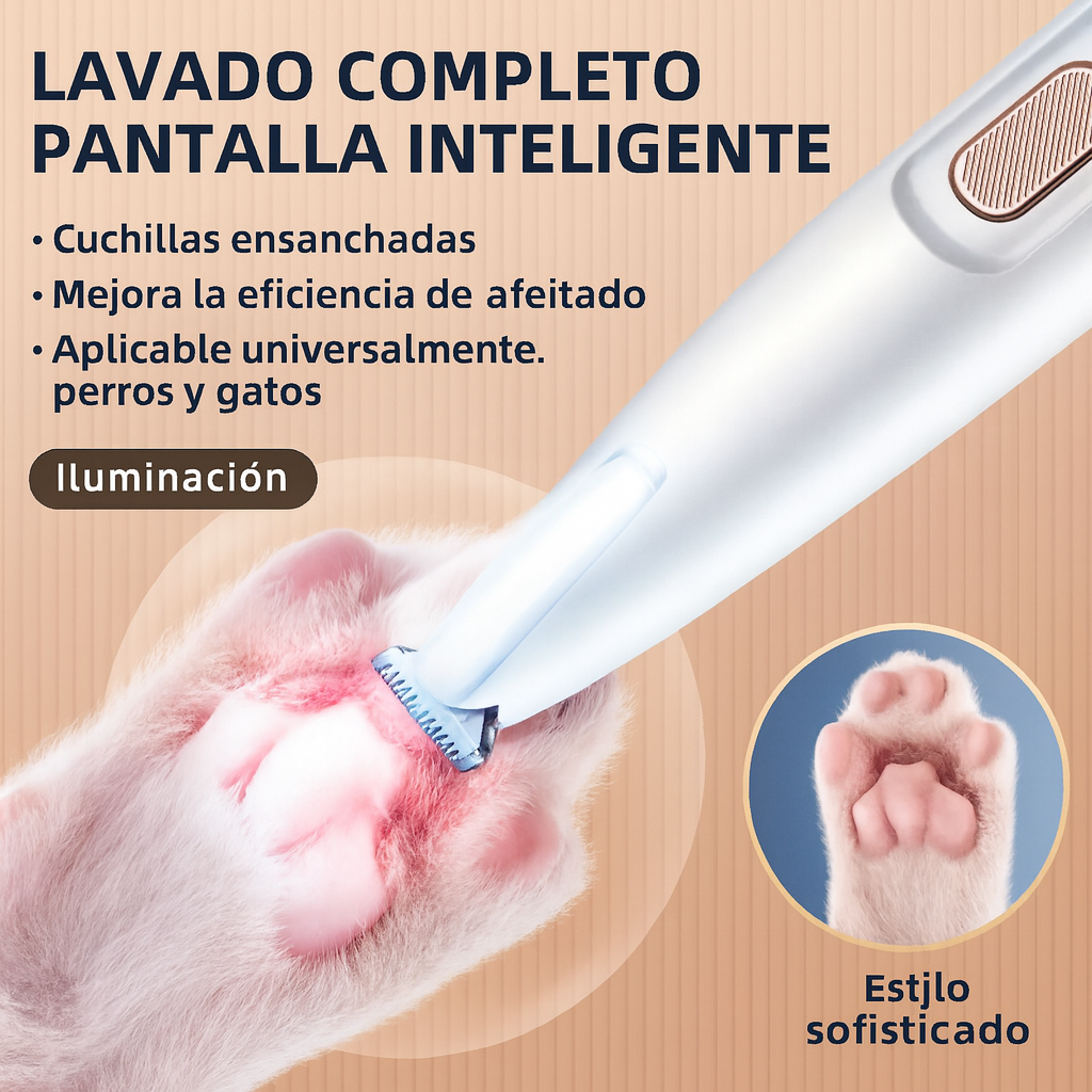 Encabezado